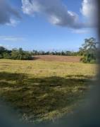 Se vende hermosa finca Se vende hermosa finca