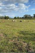 Se vende hermosa finca Se vende hermosa finca
