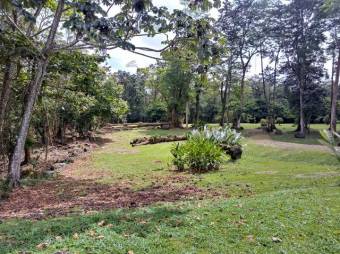 Excelente terreno plano de 7.000 Mts2 en Venta, Guapiles      CG-20-1041