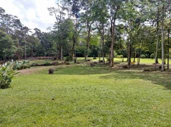 Excelente terreno plano de 7.000 Mts2 en Venta, Guapiles      CG-20-1041