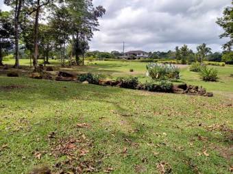 Excelente terreno plano de 7.000 Mts2 en Venta, Guapiles      CG-20-1041