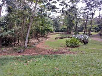 Excelente terreno plano de 7.000 Mts2 en Venta, Guapiles      CG-20-1041