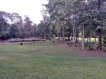 Excelente terreno plano de 7.000 Mts2 en Venta, Guapiles      CG-20-1041