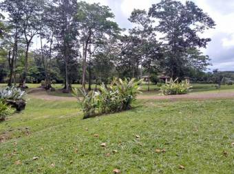 Excelente terreno plano de 7.000 Mts2 en Venta, Guapiles      CG-20-1041