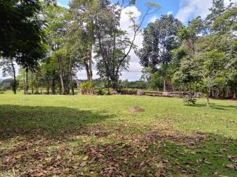 Excelente terreno plano de 7.000 Mts2 en Venta, Guapiles      CG-20-1041