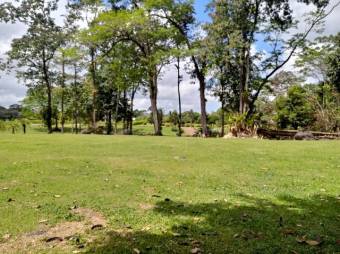 Excelente terreno plano de 7.000 Mts2 en Venta, Guapiles      CG-20-1041