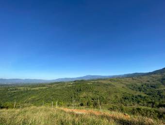 Finca Los Nachos, repastos, bosque, quebrada y excelente vista