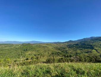 Finca Los Nachos, repastos, bosque, quebrada y excelente vista