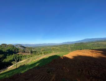 Finca Los Nachos, repastos, bosque, quebrada y excelente vista