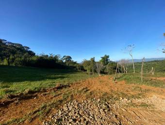 Finca Los Nachos, repastos, bosque, quebrada y excelente vista