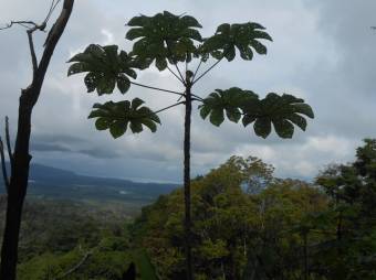 Finca Los Castros, vista espectacular del Oceano y Humedales 