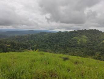 Finca Los Castros, vista espectacular del Oceano y Humedales 