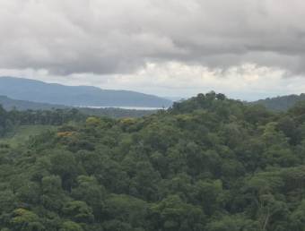 Finca Los Castros, vista espectacular del Oceano y Humedales 