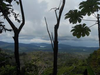 Finca Los Castros, vista espectacular del Oceano y Humedales 