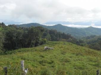 Finca Los Castros, vista espectacular del Oceano y Humedales 