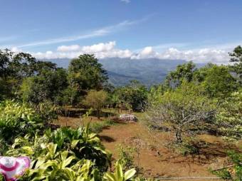 MLS-23-2557 VENTA CASA PAVONES TURRIALBA