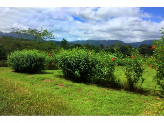 VENTA DE LOTE, ALAJUELA, SAN CARLOS, PEÑAS BLANCAS, CHACHAGUA.