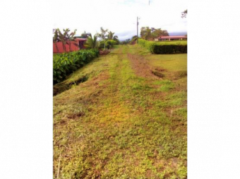 VENTA DE LOTE, ALAJUELA, SAN CARLOS, PEÑAS BLANCAS, CHACHAGUA.