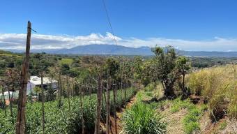 MLS-24-121 VENTA LOTE GRECIA ALAJUELA