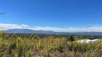 MLS-24-121 VENTA LOTE GRECIA ALAJUELA