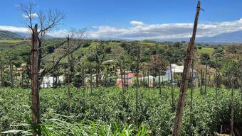 MLS-24-121 VENTA LOTE GRECIA ALAJUELA