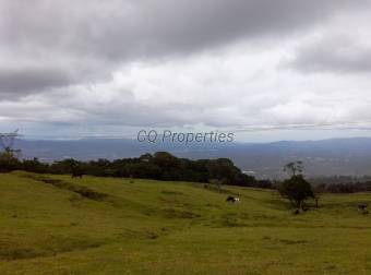 Finca en El Roble/Santa Barbara, 18.7 hectareas