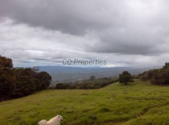 Finca en El Roble/Santa Barbara, 18.7 hectareas