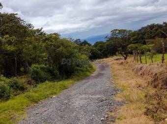 Finca en El Roble/Santa Barbara, 18.7 hectareas