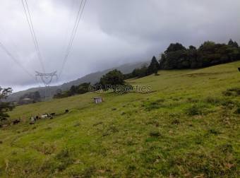 Finca en El Roble/Santa Barbara, 18.7 hectareas