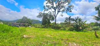 Se Vende Lote en La Fortuna de San Carlos con vista al Volcán Arenal