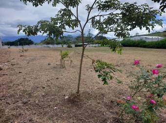 Hermoso Terreno para su casa o negocio