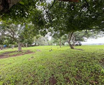 Lote de 6.775 m2 a la venta en Desamparados de Alajuela. Remate bancario.