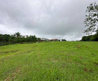 Lote de 6.775 m2 a la venta en Desamparados de Alajuela. Remate bancario.