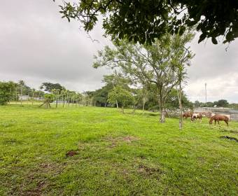 Lote de 6.775 m2 a la venta en Desamparados de Alajuela. Remate bancario.