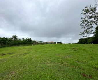 Lote de 6.775 m2 a la venta en Desamparados de Alajuela. Remate bancario.