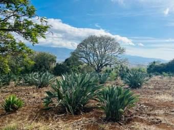 Se vende amplio lote con mas de 7,000m2 en Concepción de San Rafael 24-1508