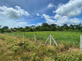 Vendo 2 lotes uno de 1,678.35m2 y otro de 355m2 en la Rita de Guápiles