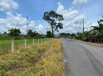 Vendo 2 lotes uno de 1,678.35m2 y otro de 355m2 en la Rita de Guápiles