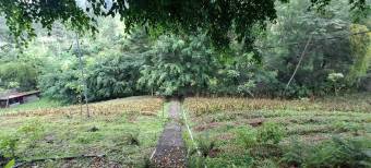 Venta de Finca en Peralta, Cartago. RAH 24-1857