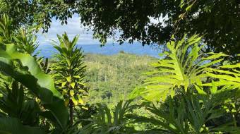 Venta de Finca en Peralta, Cartago. RAH 24-1857