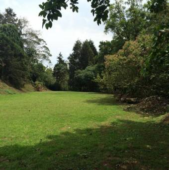 Se vende amplio lote con 3,500m2 en Montes de Oca de San José 22-762