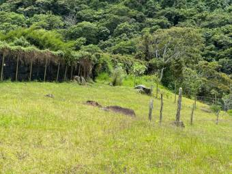 Se vende amplio lote plano de 4,284m2 en San Antonio de Escazú 24-577