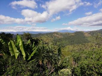 Se vede amplia propiedad con 14,942m2 en Mora de San José 23-2886