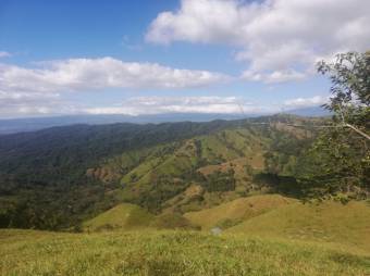 Se vede amplia propiedad con 14,942m2 en Mora de San José 23-2886