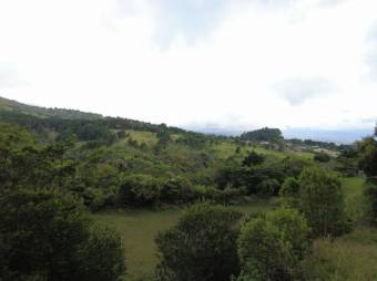 Se vende finca con amplio lote de 38,504m2 en Concepcion de San 