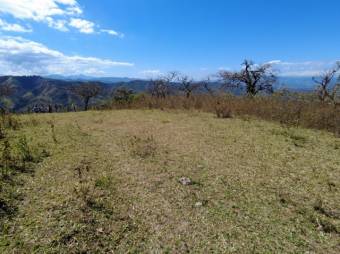 Se vende amplia propiedad con lote de 54,128m2 en Ciudad Colón de Mora 23-2143