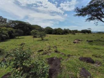 Se vende lote plano con 57,548m2 en Garita de Alajuela 23-411