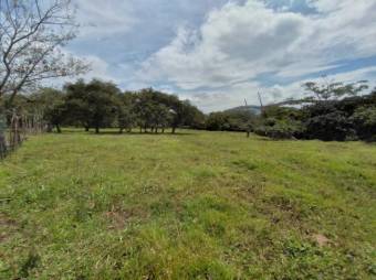 Se vende lote plano con 57,548m2 en Garita de Alajuela 23-411