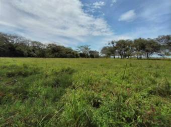 Se vende lote plano con 57,548m2 en Garita de Alajuela 23-411