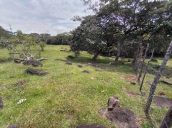 Se vende lote plano con 57,548m2 en Garita de Alajuela 23-411